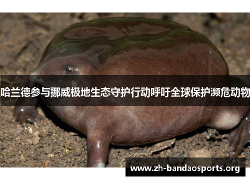 哈兰德参与挪威极地生态守护行动呼吁全球保护濒危动物 哈兰德参与挪威极地生态守护行动呼吁全球保护濒危动物