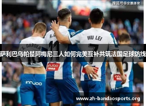 萨利巴乌帕楚阿梅尼三人如何完美互补共筑法国足球防线