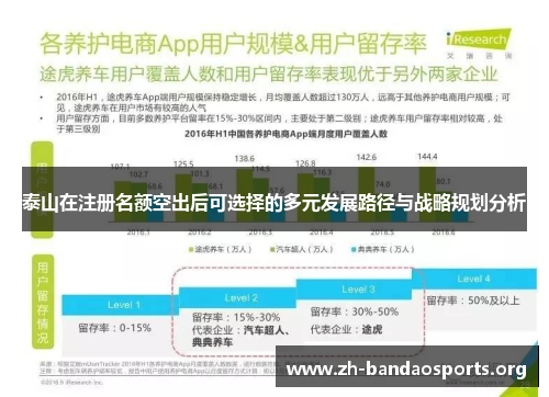 泰山在注册名额空出后可选择的多元发展路径与战略规划分析 泰山在注册名额空出后可选择的多元发展路径与战略规划分析