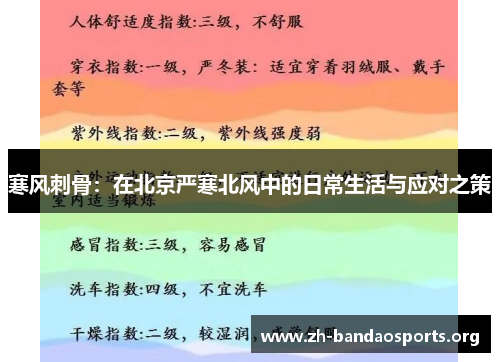 寒风刺骨:在北京严寒北风中的日常生活与应对之策 寒风刺骨:在北京严寒北风中的日常生活与应对之策
