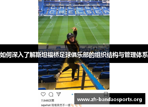 如何深入了解斯坦福桥足球俱乐部的组织结构与管理体系 如何深入了解斯坦福桥足球俱乐部的组织结构与管理体系