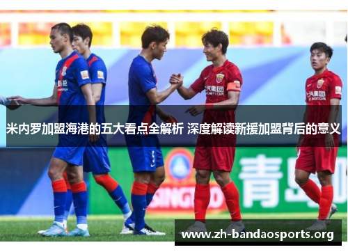 米内罗加盟海港的五大看点全解析 深度解读新援加盟背后的意义 米内罗加盟海港的五大看点全解析 深度解读新援加盟背后的意义
