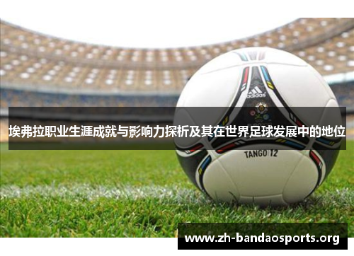 埃弗拉职业生涯成就与影响力探析及其在世界足球发展中的地位 埃弗拉职业生涯成就与影响力探析及其在世界足球发展中的地位