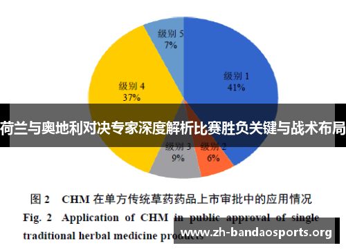 荷兰与奥地利对决专家深度解析比赛胜负关键与战术布局 荷兰与奥地利对决专家深度解析比赛胜负关键与战术布局