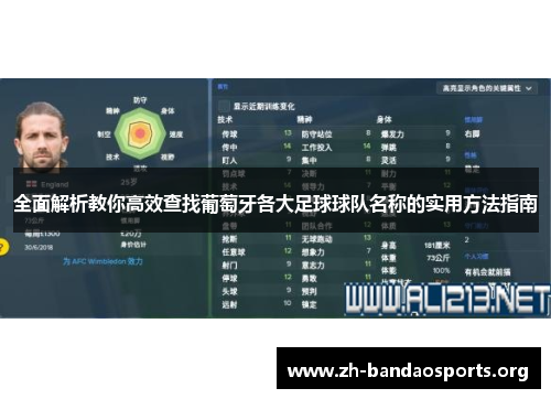 全面解析教你高效查找葡萄牙各大足球球队名称的实用方法指南 全面解析教你高效查找葡萄牙各大足球球队名称的实用方法指南
